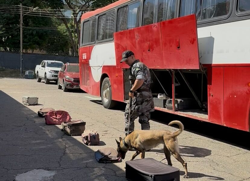 BPCães realiza teste de certificação para os farejadores