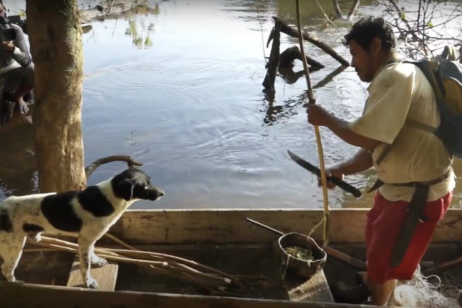 Filmes do Fica serão exibidos no Canal Saúde
