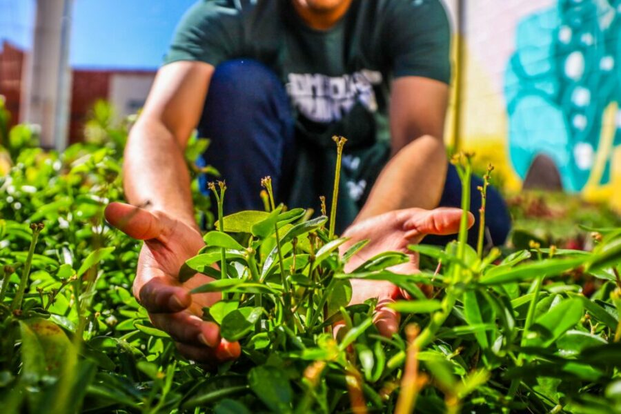 Projeto Comendo do Quintal forma 25 socioeducandos do Caser Itaberaí