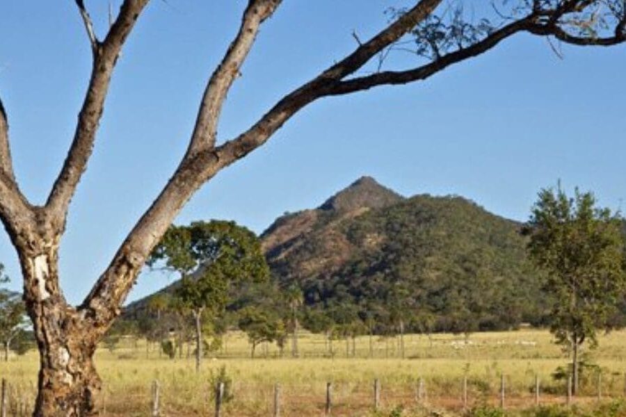 Semana do Meio Ambiente será nos dias 4 e 5 de junho