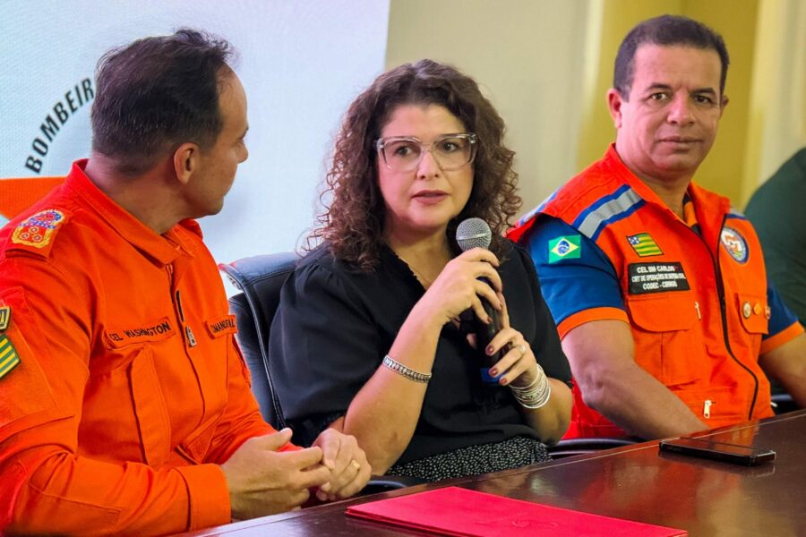 Comitê Estadual já trabalha na prevenção de incêndios florestais
