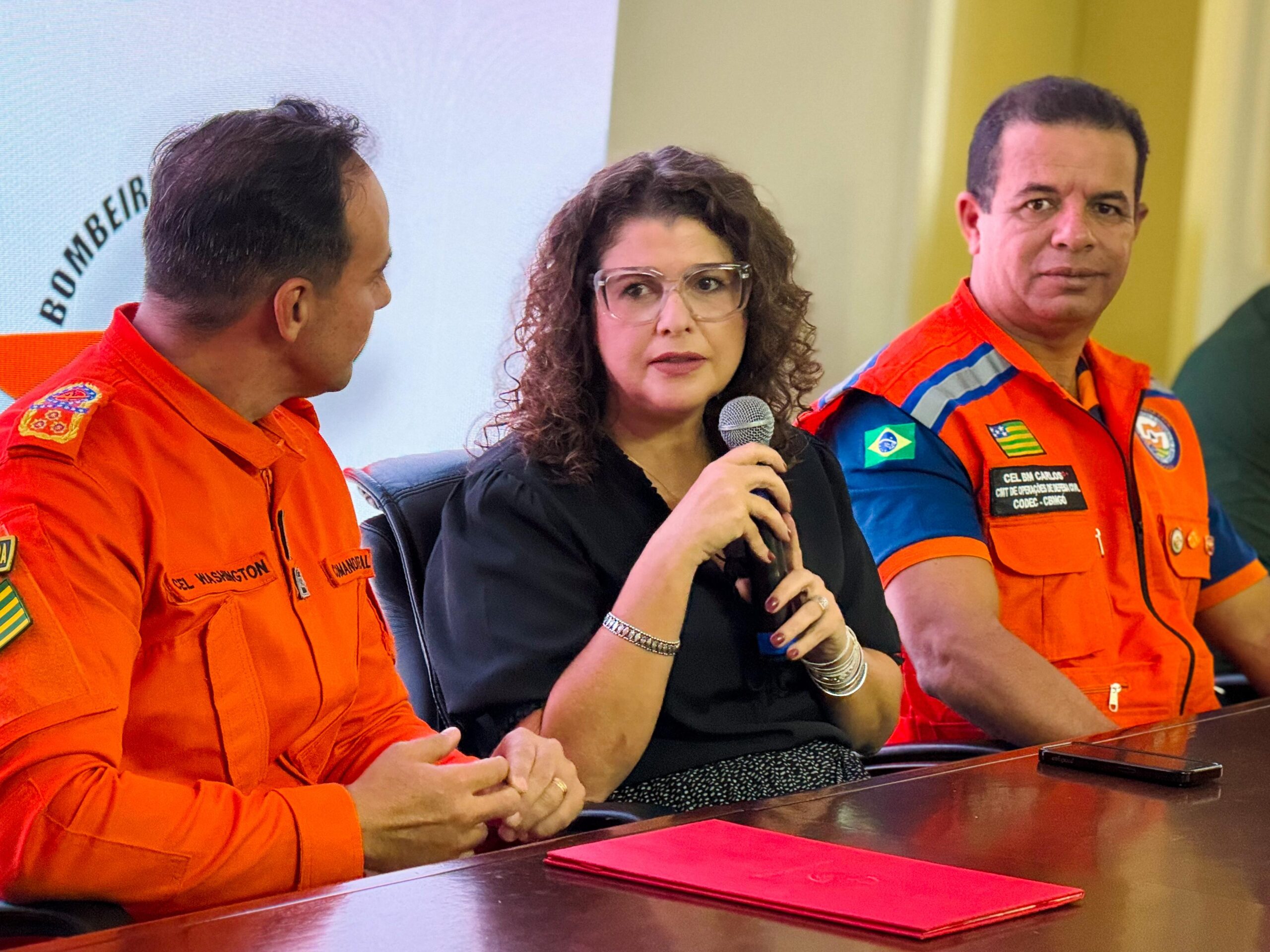 Comitê Estadual já trabalha na prevenção de incêndios florestais