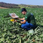 Agrodefesa assegura qualidade fitossanitária das frutas goianas para exportação