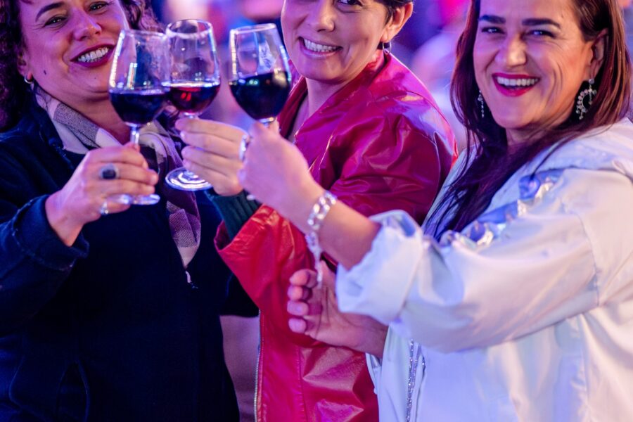 Governo impulsiona vinhos do Cerrado com apoio ao Wine Jazz Piri