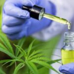 Fapeg terá palestrante no Congresso Brasileiro da Cannabis Medicinal