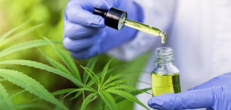 Fapeg terá palestrante no Congresso Brasileiro da Cannabis Medicinal