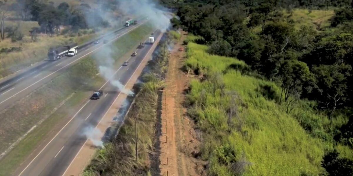 Aceiros queimados previnem incêndios em parques estaduais