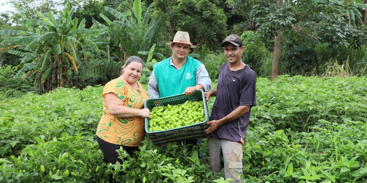 Emater amplia presença no estado com 193 convênios ativos