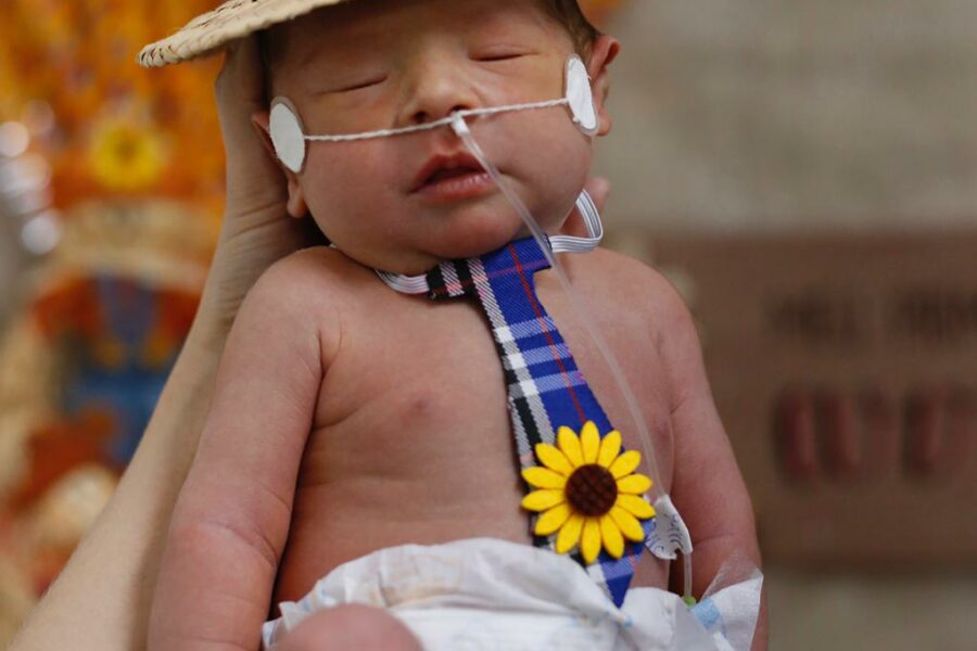 Arraiá baby do Hemu