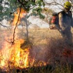 Corpo de Bombeiros lança Operação Cerrado Vivo 2025 nesta sexta-feira