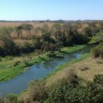 Goiás realiza Semana do Meio Ambiente nesta quarta e quinta