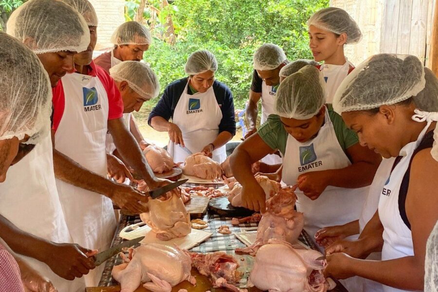 Emater realiza 1ª edição do Agro é Social Quilombola