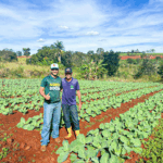 Goiás promove a II Semana Estadual do CAF