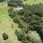 Programa Ser Natureza recupera 277 hectares de áreas degradadas em Jandaia