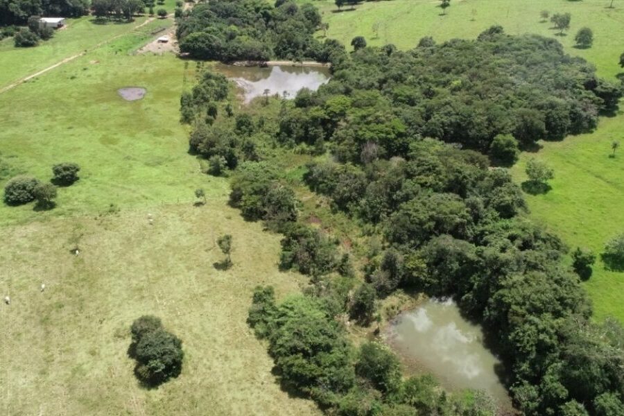 Programa Ser Natureza recupera 277 hectares de áreas degradadas em Jandaia