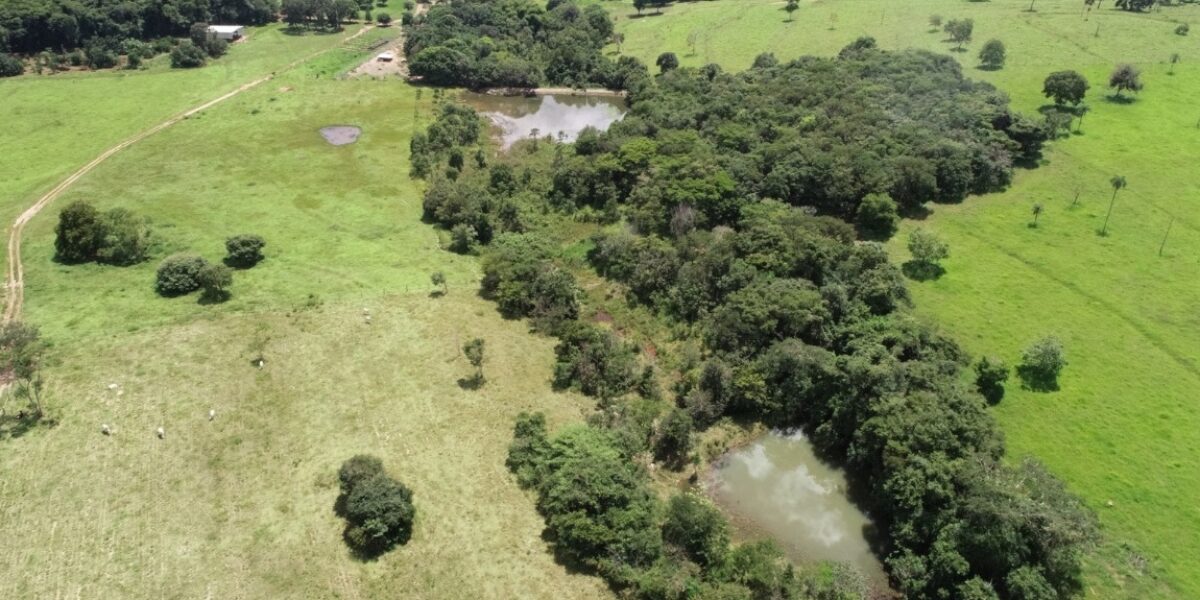 Programa Ser Natureza recupera 277 hectares de áreas degradadas em Jandaia