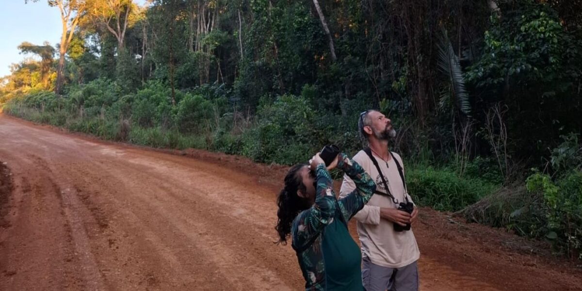 Semad investe no turismo de observação de aves em Alto Paraíso