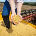 PIB de Goiás cresce 7,7% no primeiro trimestre de 2025