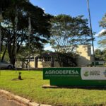 Confirmado primeiro caso de gripe aviária em aves de subsistência em Goiás