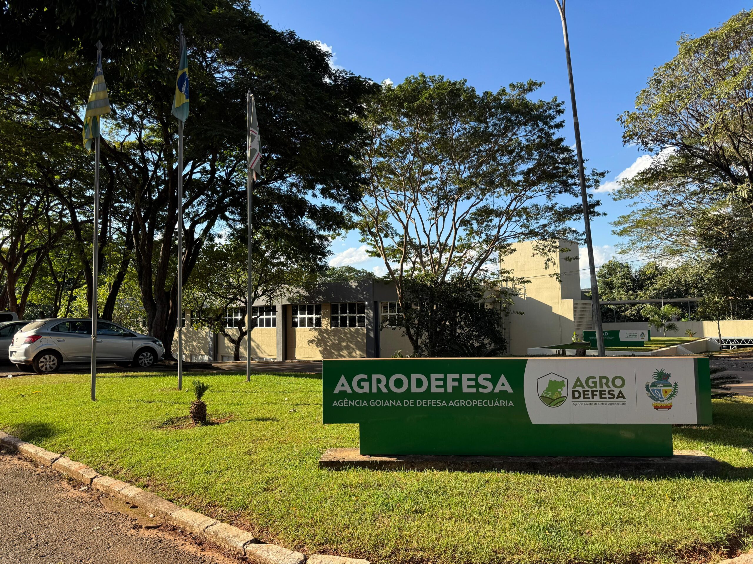 Confirmado primeiro caso de gripe aviária em aves de subsistência em Goiás