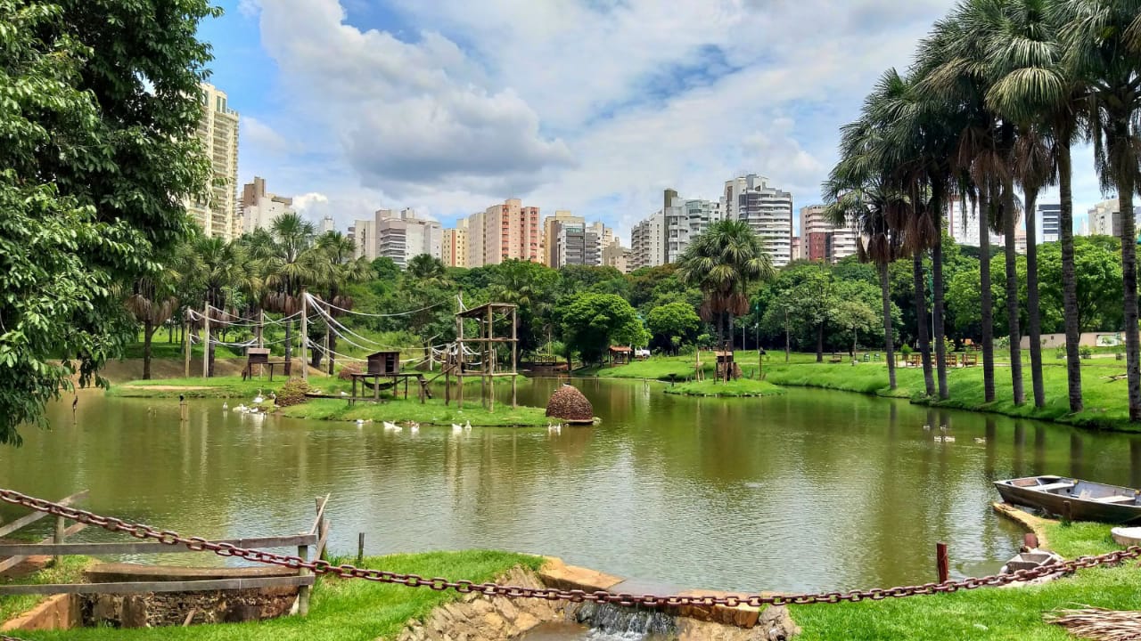 Laudo descarta gripe aviária no cisne que morreu no Zoológico de Goiânia