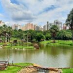 Agrodefesa investiga morte de cisne negro no Zoológico de Goiânia