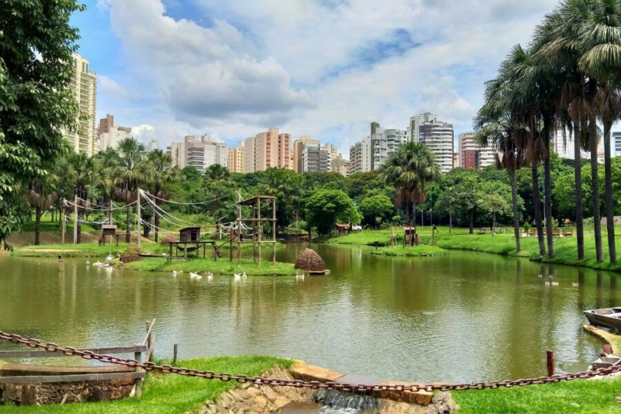 Agrodefesa investiga morte de cisne negro no Zoológico de Goiânia