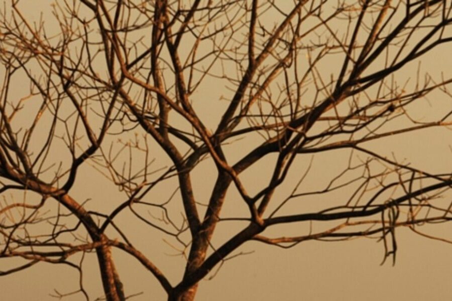 Estiagem: começa contagem oficial dos dias sem chuva em Goiás