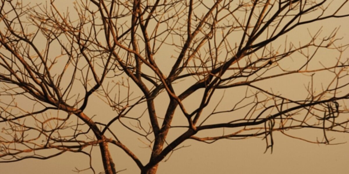 Estiagem: começa contagem oficial dos dias sem chuva em Goiás