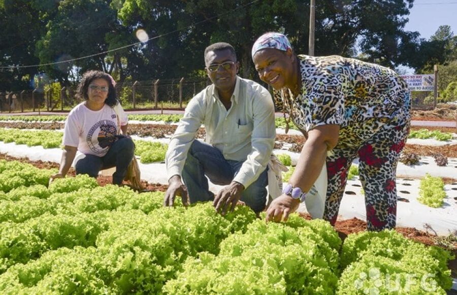 Mapeamento da Agricultura Familiar termina nesta sexta