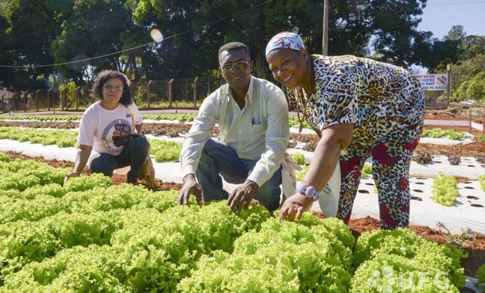 Mapeamento da Agricultura Familiar termina nesta sexta