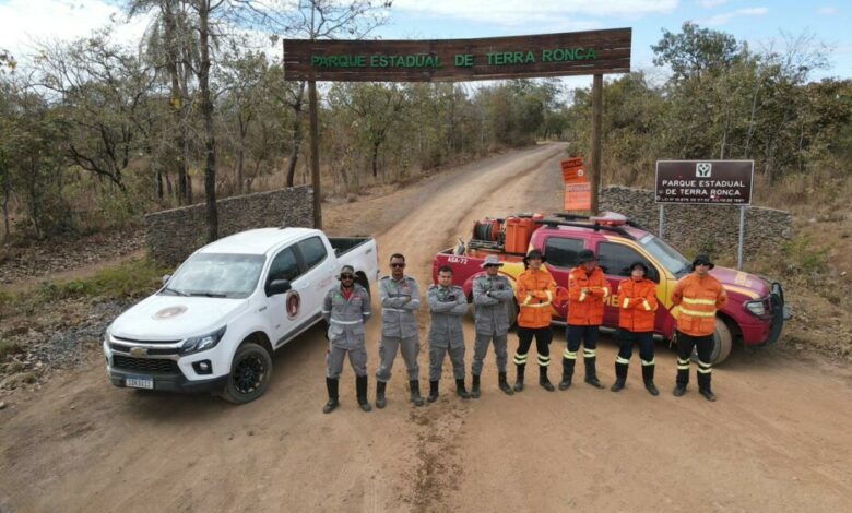 Operação Cerrado Vivo 2025 reforça combate a incêndios florestais