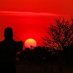 Semad abre inscrições para 1º Congresso Goiano de Mudanças Climáticas