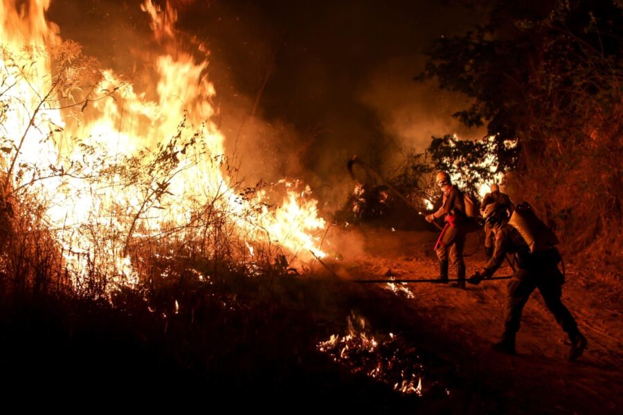 Decreto suspende uso do fogo em vegetação no Estado de Goiás