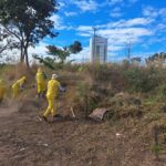 Reeducandos trabalham na limpeza e roçagem do Morro da Serrinha