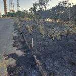 Morro da Serrinha recebe serviços manutenção para prevenção de incêndios