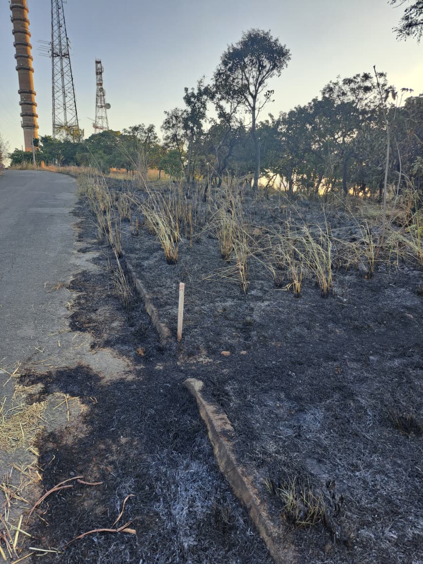 Morro da Serrinha recebe serviços manutenção para prevenção de incêndios