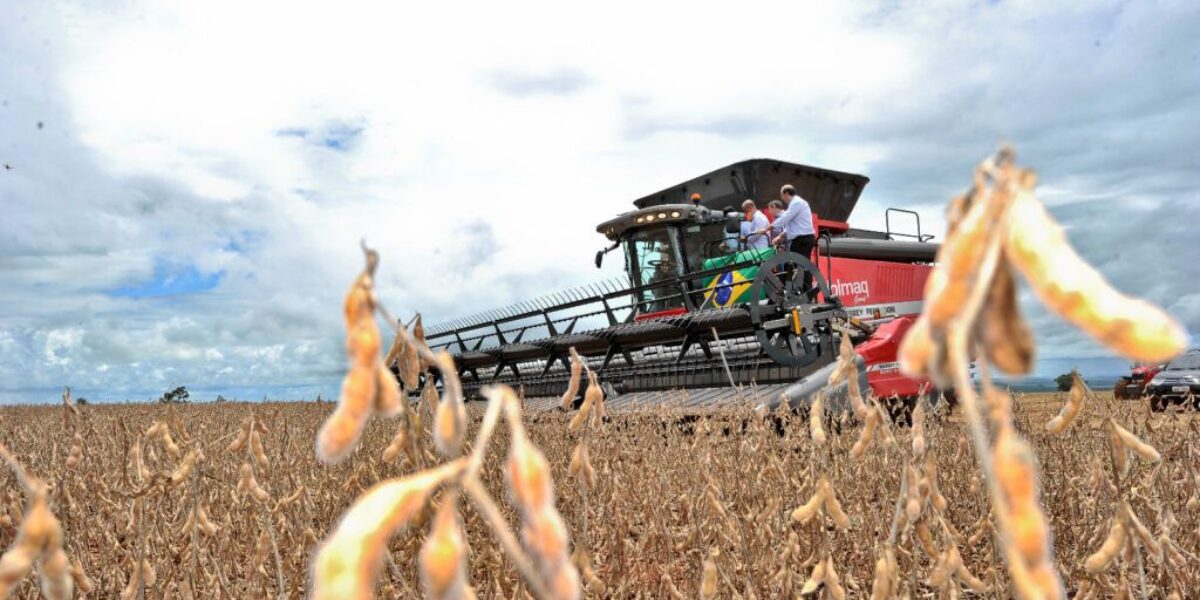 Balança comercial goiana tem superávit de US$ 669 milhões em junho