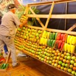 Protagonismo agrícola de Goianápolis é destaque na 39ª edição da Festa do Tomate