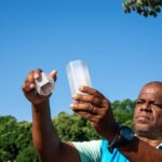 Governo usa Método Wolbachia para conter dengue