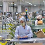 Goiás registra saldo positivo de empregos formais em maio