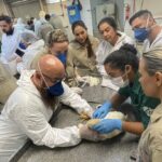 Agrodefesa realiza treinamento técnico sobre suspeitas de gripe aviária