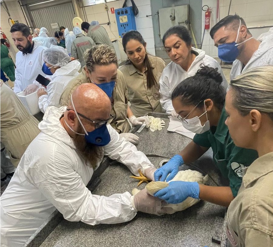 Agrodefesa realiza treinamento técnico sobre suspeitas de gripe aviária