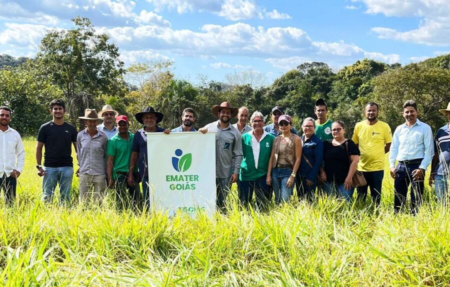 Emater divulga diagnóstico com principais desafios da agricultura familiar