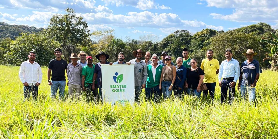 Emater divulga diagnóstico com principais desafios da agricultura familiar