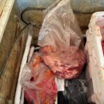 Agrodefesa e PM interditam fábrica clandestina de linguiça em Aparecida de Goiânia
