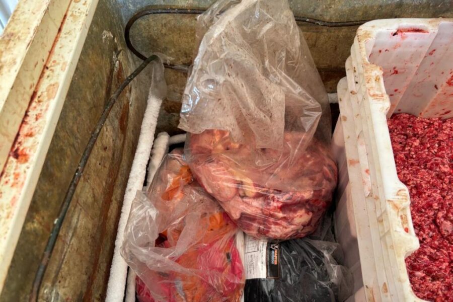 Agrodefesa e PM interditam fábrica clandestina de linguiça em Aparecida de Goiânia