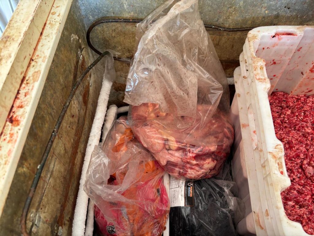 Agrodefesa e PM interditam fábrica clandestina de linguiça em Aparecida de Goiânia