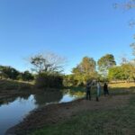 Polícia Civil investiga morte de peixes em Palminópolis