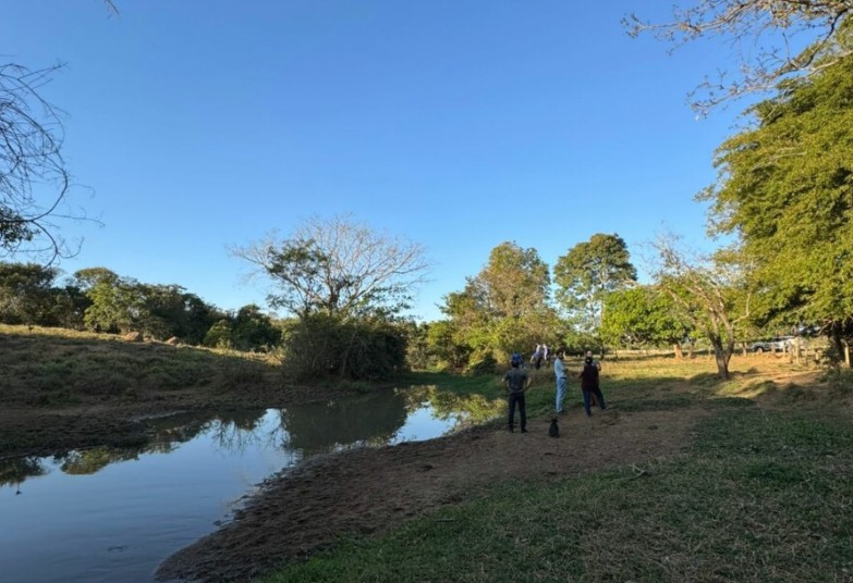 Polícia Civil investiga morte de peixes em Palminópolis
